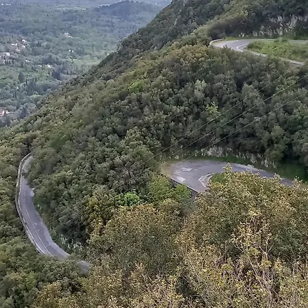 Americanou 度假居 Zigos (Corfu)