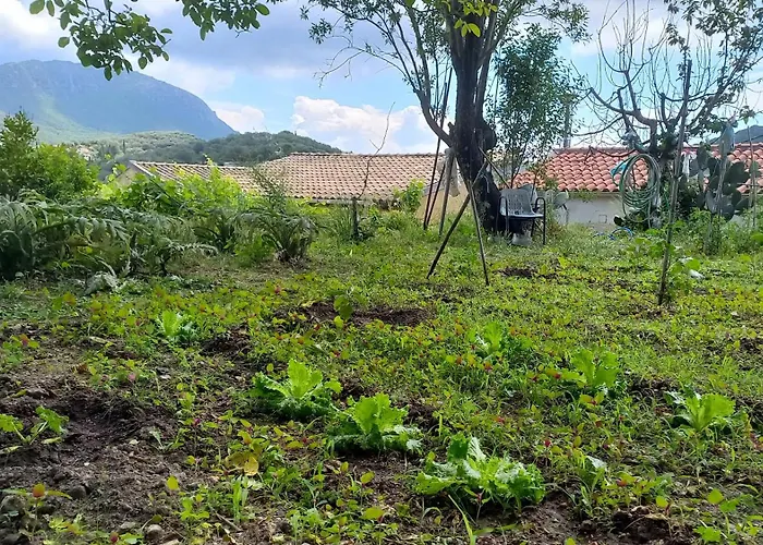 Сasa de vacaciones Americanou