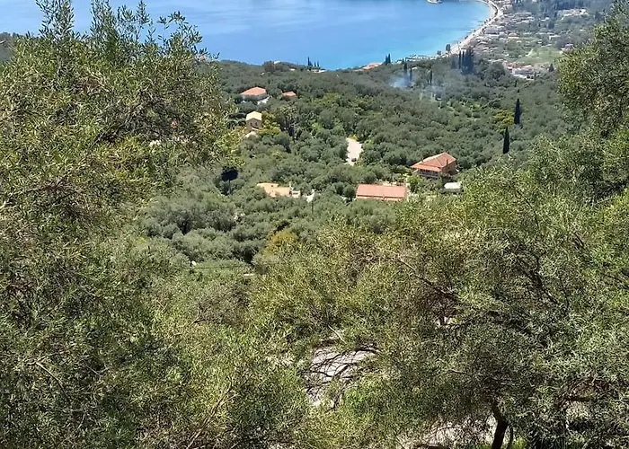 Americanou * Zigos (Corfu)