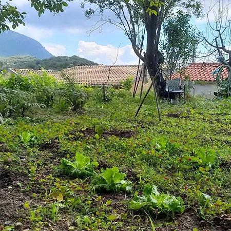 Tatil Evi Americanou