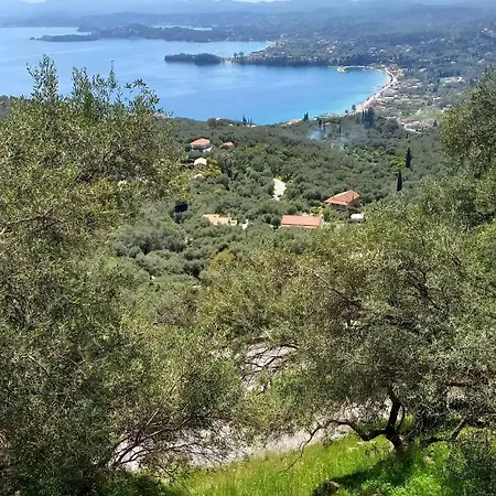 Americanou * Zigos (Corfu)