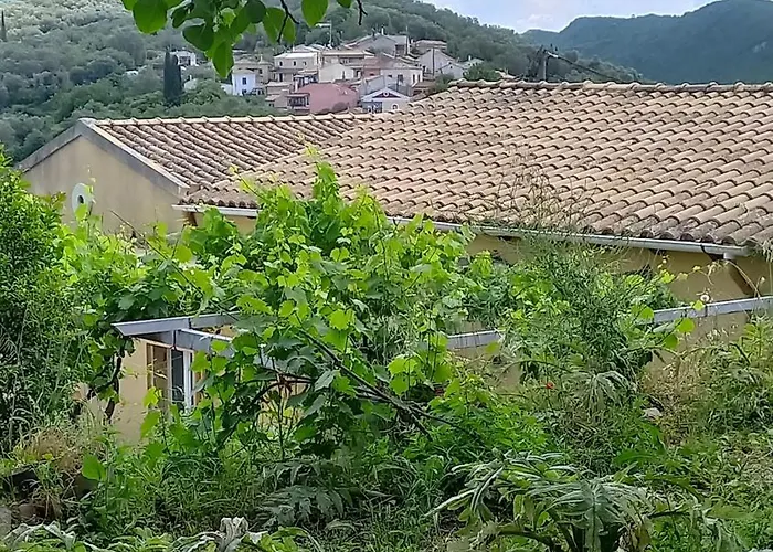 Americanou
